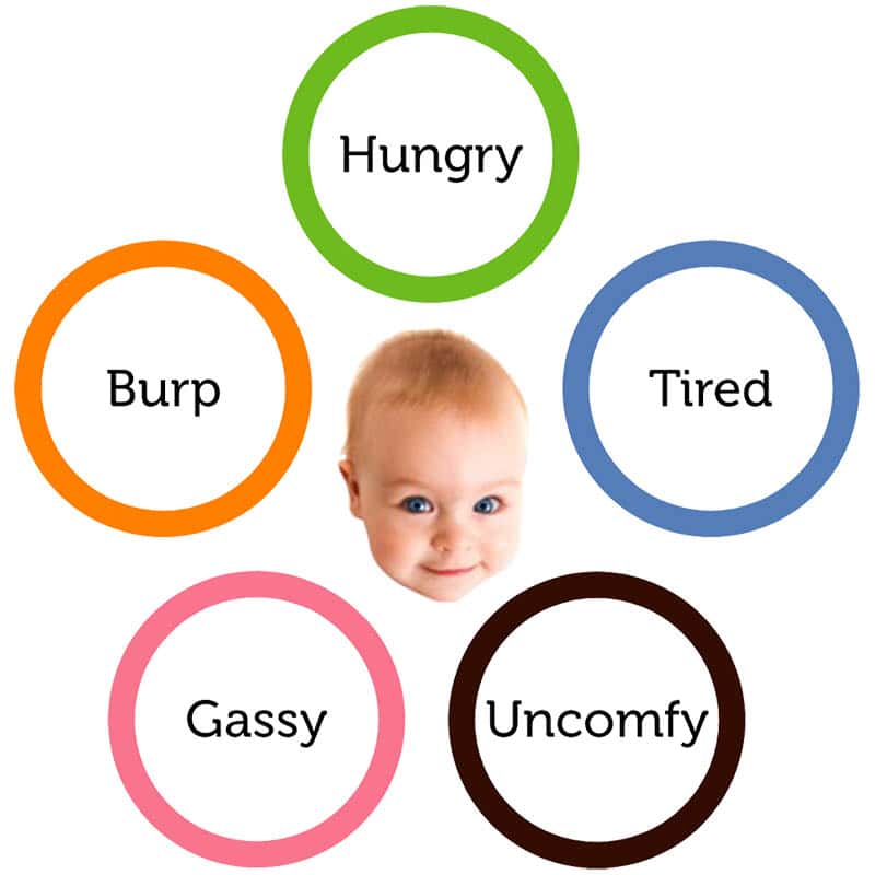 five words of the dunstan baby language hungry, tired, uncomfy, gassy, burp
