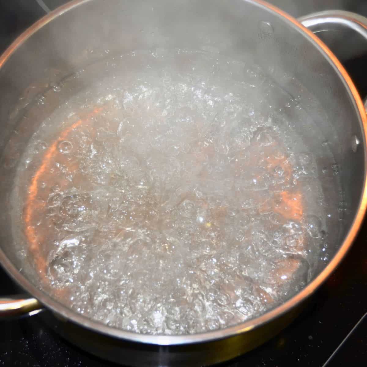 Boiling stock pot of water