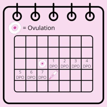 Calendar to show ovulation, days past ovulation (DPO), and when to take a pregnancy take.