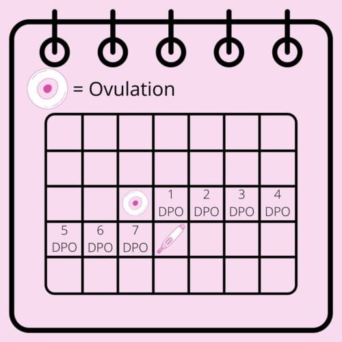 1DPO: pregnancy symptoms and testing at one day post ovulation