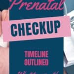 prenatal checkup timeline outlined