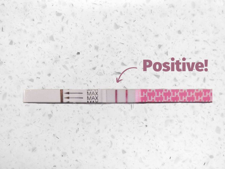 positive ovulation test on counter
