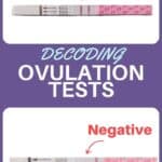 Decoding ovulation tests