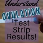 understand ovulation test strip results