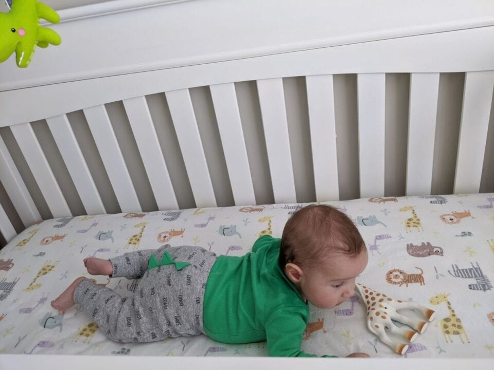 Baby in crib with adjustable mattress height