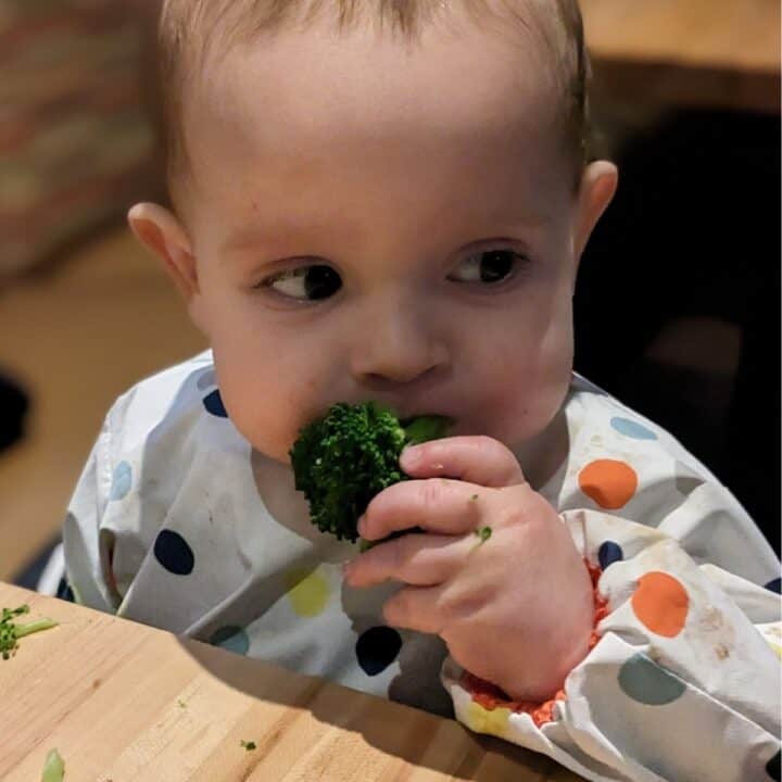 Toddler boy eating broccoli